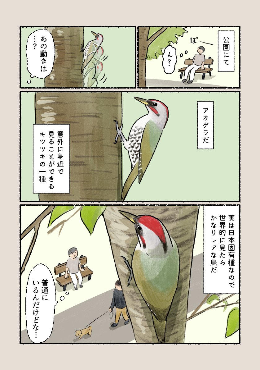 まさかの材料」 蜘蛛や蛾の繭から糸を取り出し器用に巣を作ります。 ※巣を見つけたら遠くから短時間の観察にとどめましょう」𝚙𝚒𝚛𝚘 𝚙𝚒𝚛𝚘 ...