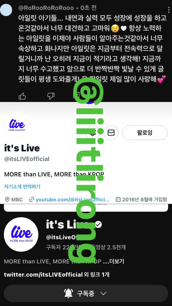 liiitlirong's tweet photo. #itsLive_event_ILLIT 
💕💕 https://t.co/g6xwQk2qr0