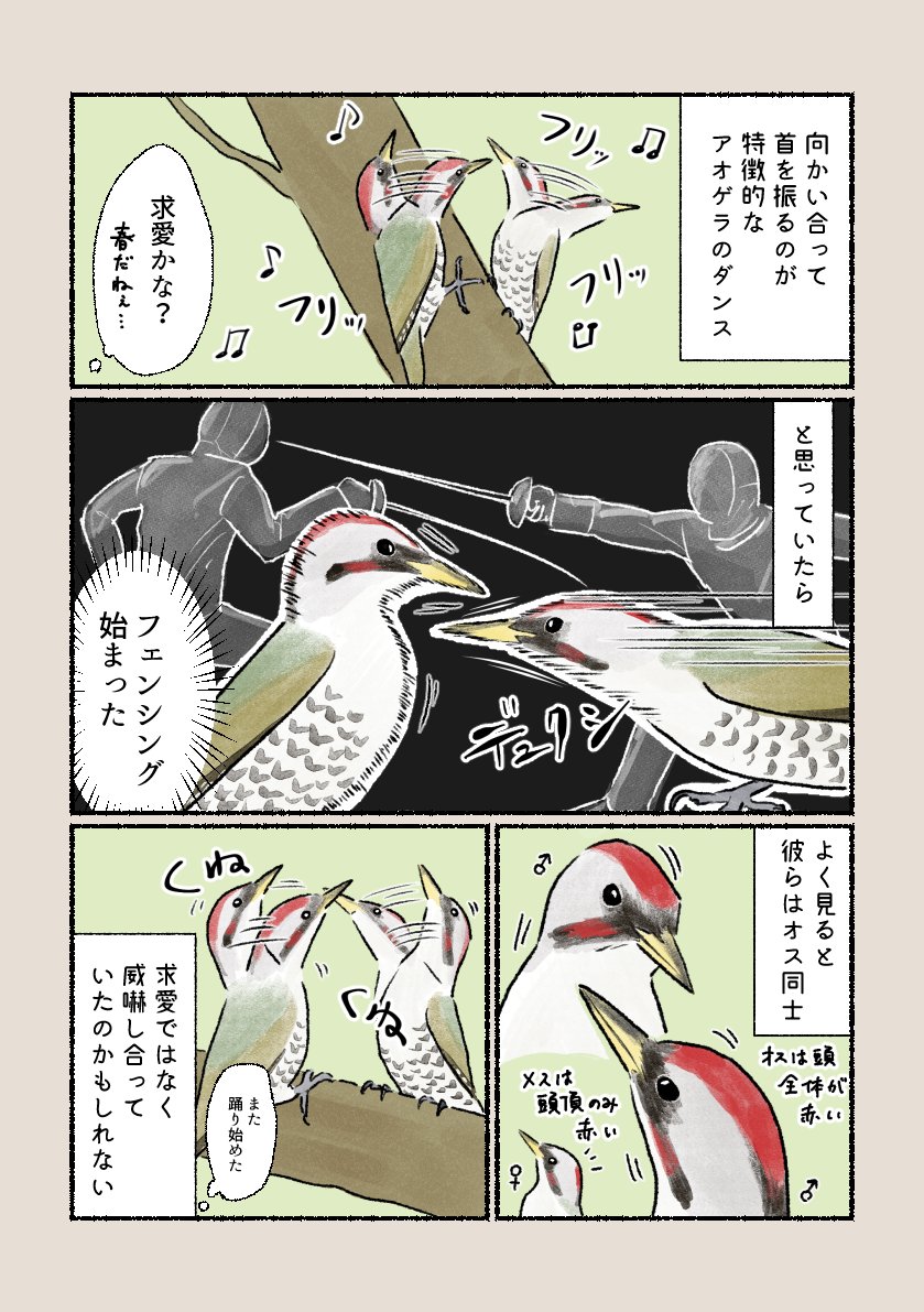 「くねくねダンス」
愉快なダンスかと思いきや…?突かれたら痛そうです。 