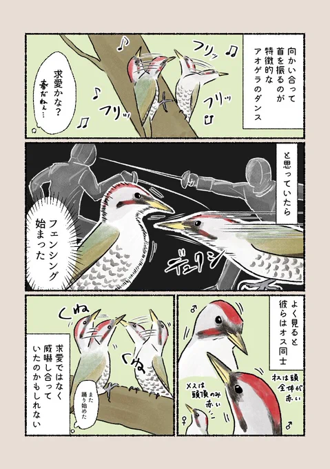 「くねくねダンス」
愉快なダンスかと思いきや…?突かれたら痛そうです。 
