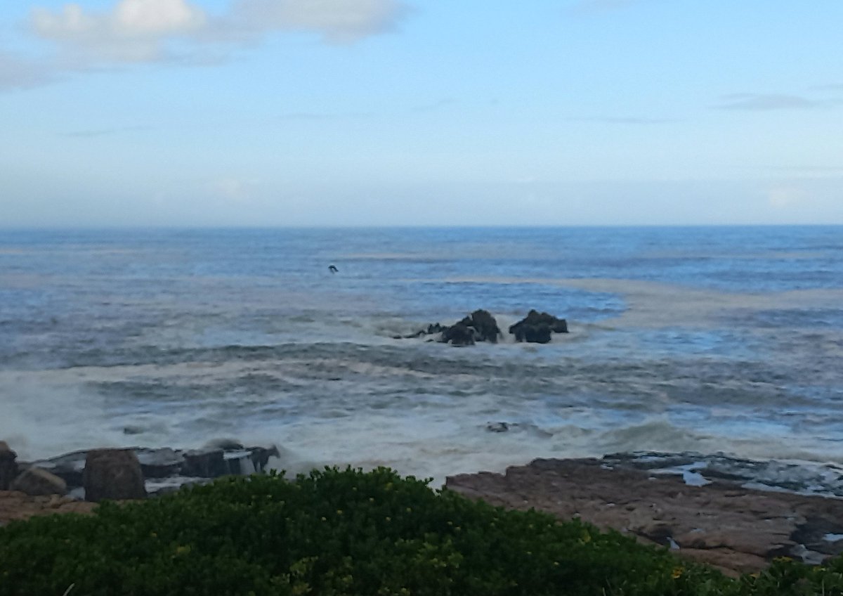 Good morning, from a rainy and cloudy morning in Hermanus.
#hermanus #travel