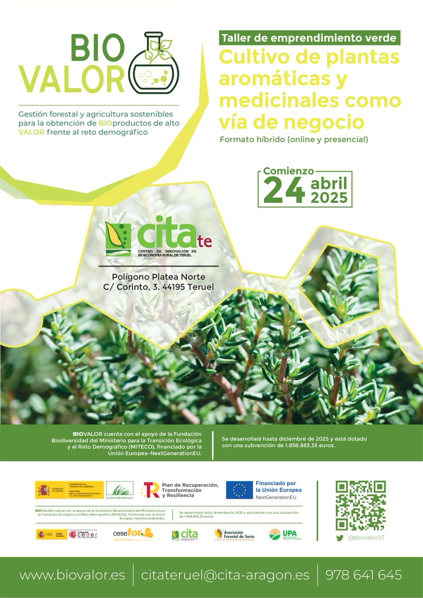 CITAAragon's tweet photo. 🌿 El proyecto #BIOVALOR (@pbiovalor23) impulsa el emprendimiento en el cultivo de plantas #aromáticas y #medicinales con un taller en CITA Teruel
📑 ¡Aquí toda la información!👇
https://t.co/nxRiUt7yIW
✍️ Inscripciones:
https://t.co/43Mx21xlR0 https://t.co/YMWaJ2C5Ul