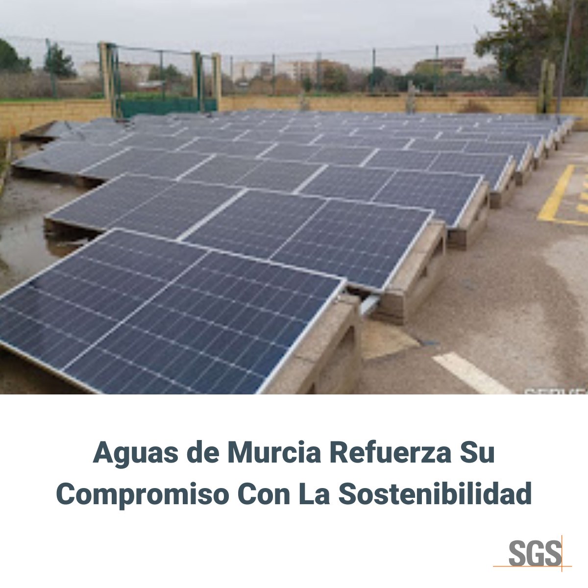 SGS Spain tweet media