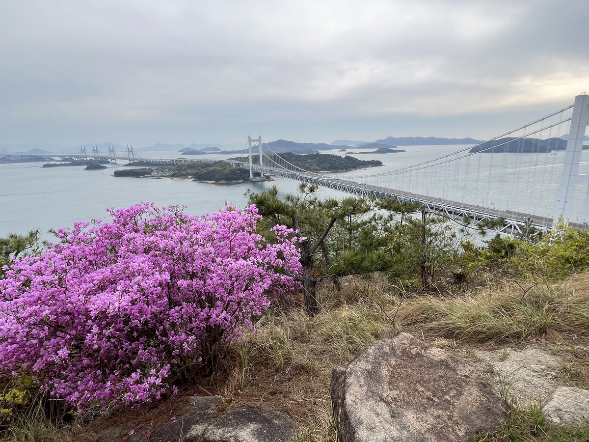 香川良きだった