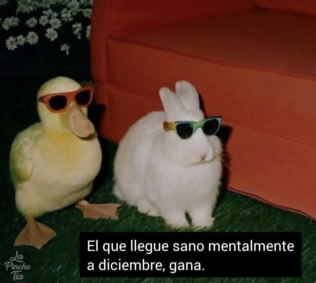 En Júpiter (@en_jupiter_) on Twitter photo 