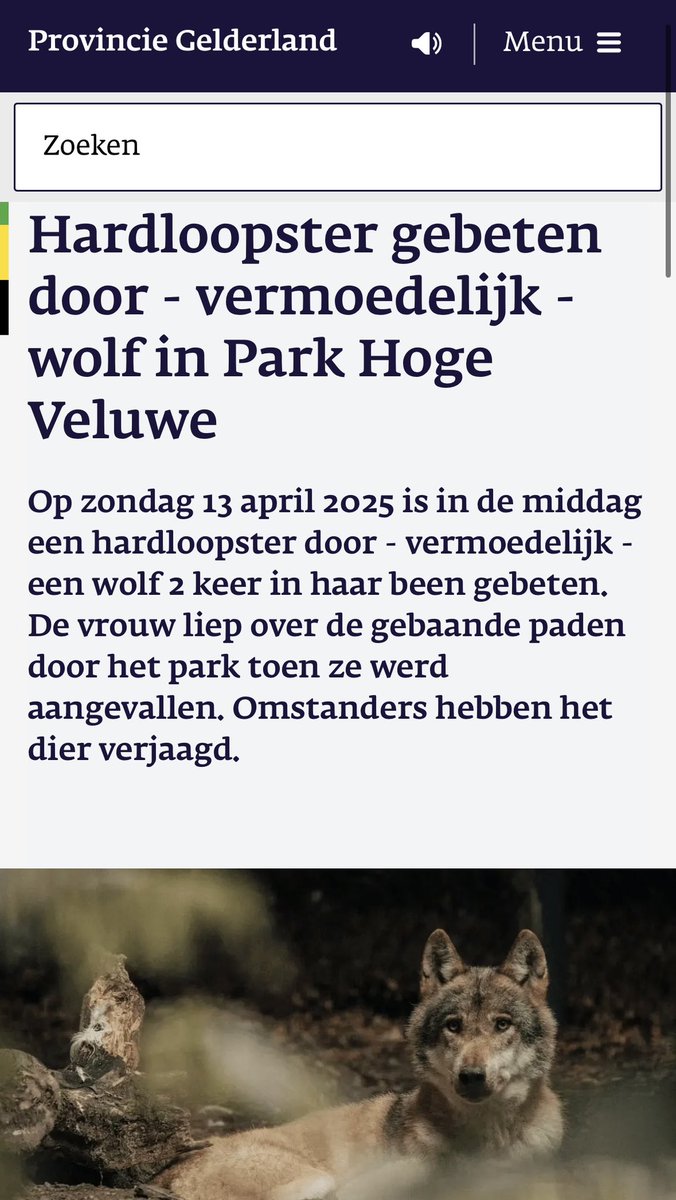 Hardloopster gebeten door wolf in Park Hoge Veluwe
