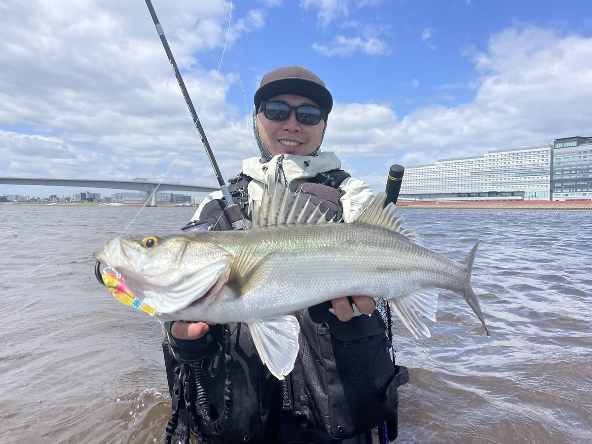 i_01222's tweet image. 育休も終わりを迎え、妻から許可も出て釣行へ復帰🙌

復帰第一戦はキビレとシーバス🥰

2ヶ月ぶりの釣行でした🔥

@RE_BURNINGSUN_ さんとばったり会ってご一緒☺️

#LEGARE
#fimoフィールドモニター
#東京湾奥
#シーバス
#釣行復帰