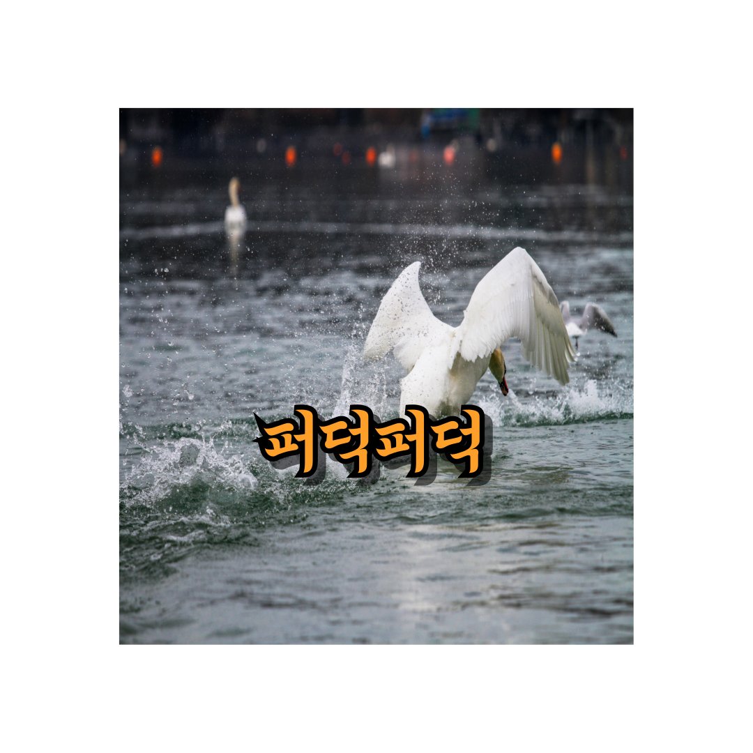 ilovepattern's tweet photo. The Magic of Vibrant Sounds : “퍼덕퍼덕”(Peo-deok Peo-deok)
https://t.co/bZkC1Vfs6f https://t.co/VcEH9oBGrd