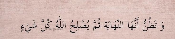 • tweet media