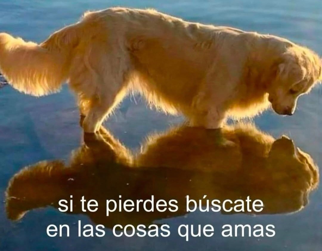 En Júpiter (@en_jupiter_) on Twitter photo 