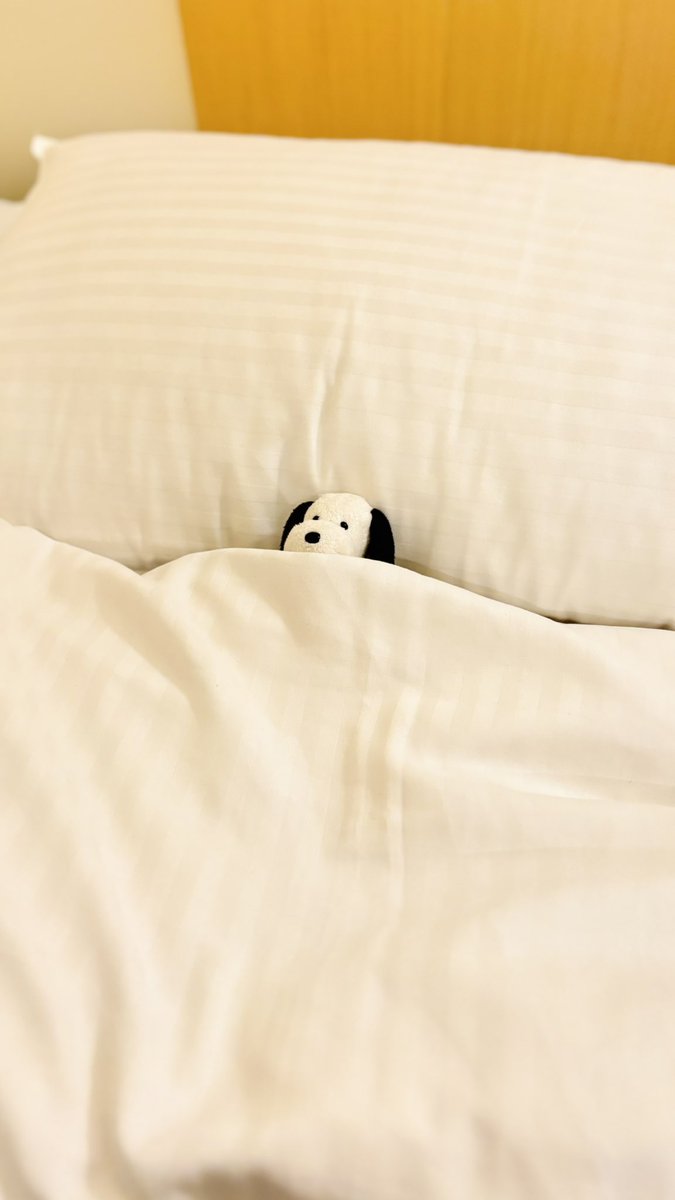 やめぴ やめぴ (@yamekawaeee) / Posts / X