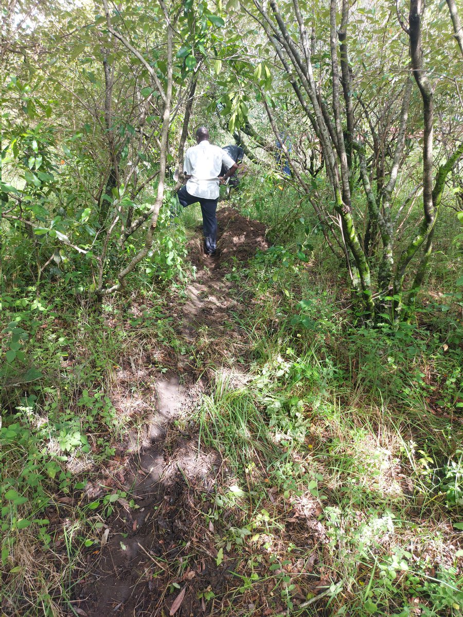 Goodmorning. Drainage works and for a camp in maasai mara. <a href="/sewertechkenya/">Sewertechkenya</a>