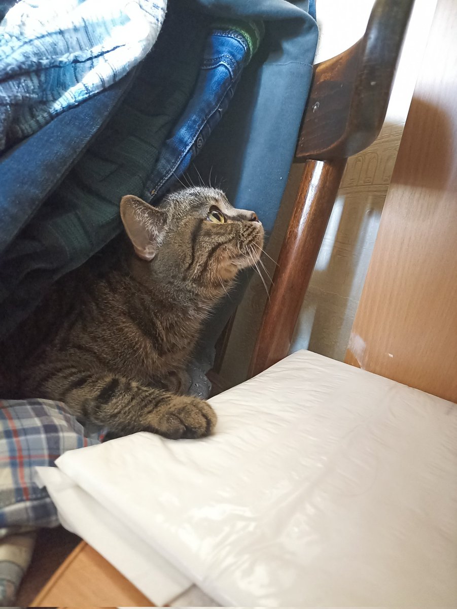 Домики надо создавать из подручных средств. 
Где смогла угнездиться - там дом. 
И надо срочно приХВАТИзировать. А то разберут на отдельные вещи. Не соберешь

За сим отмуркиваюсь. 
Ваша Кася