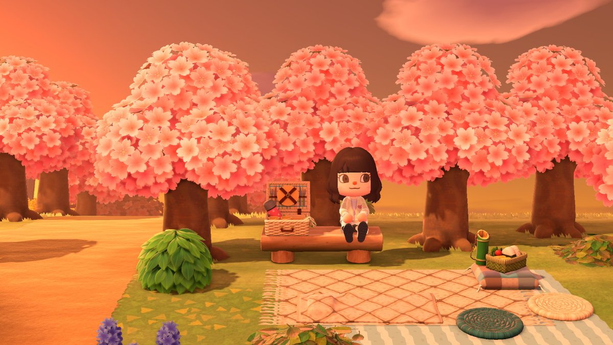 さくら終わる前にお花見できました🌸

#あつまれどうぶつの森 #あつ森 #ACNH