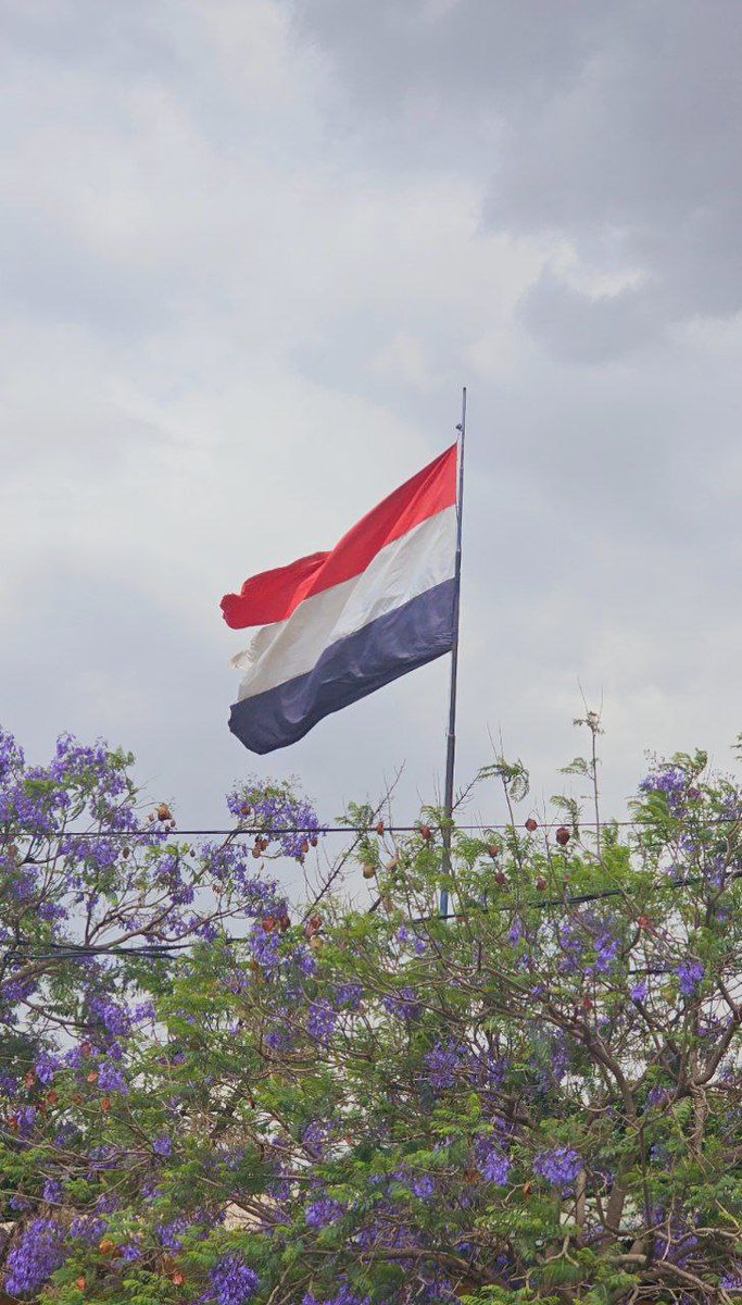 وإنَّ الحُزنَ مهما طال دهرًا
يزول، ويعتلي القلبَ السُّرورُ

صباح الخير..