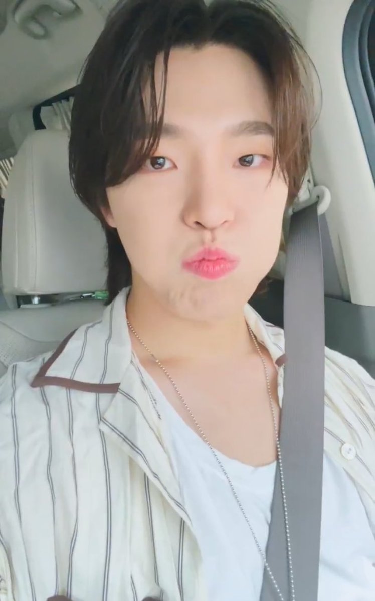 sounds_of_cheol's tweet photo. dino 🩶🩶 https://t.co/XFfGdjtK5o