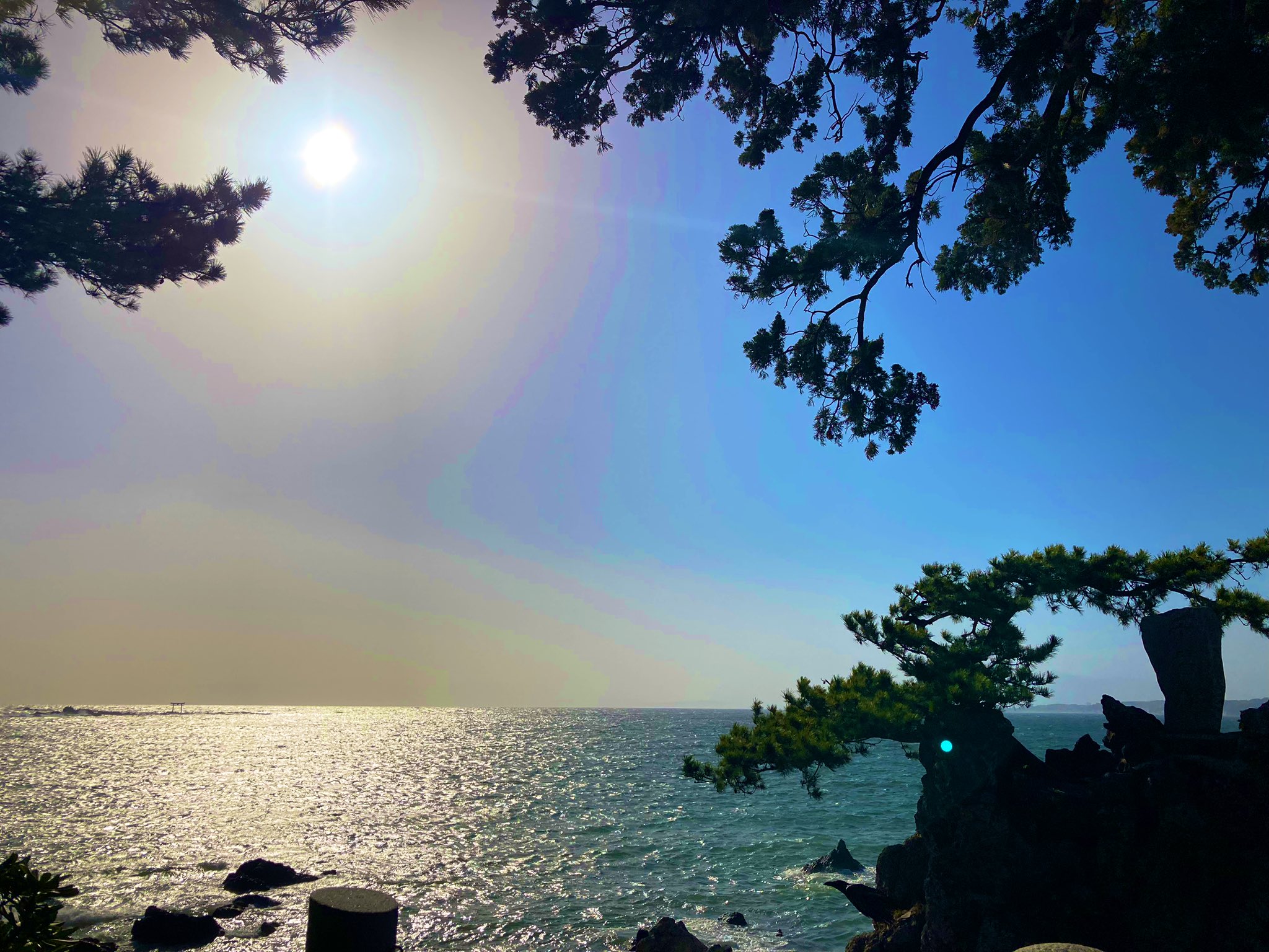 パイパン海 