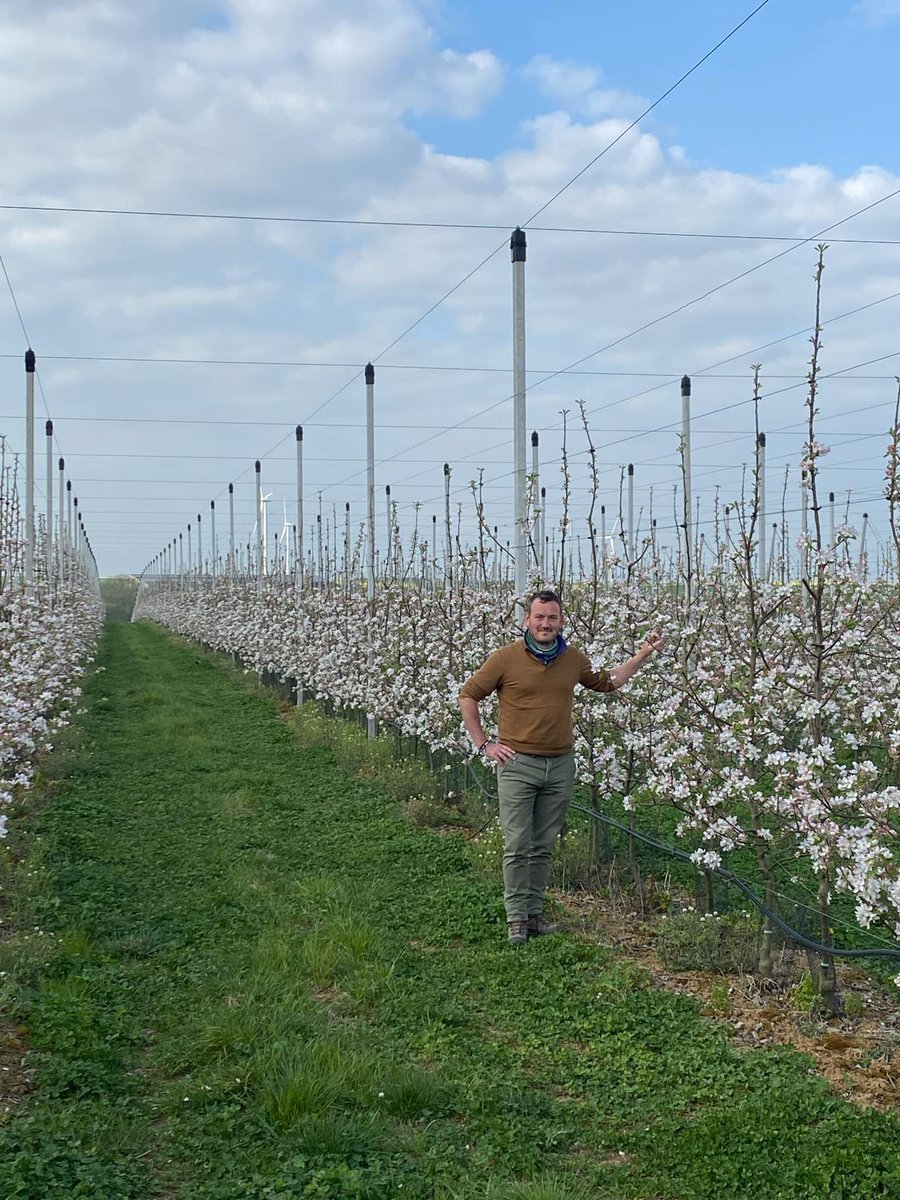 Antoine Grasser (@antoine_grasser) on Twitter photo Pleine floraison des pommiers en ce moment! 🐝 Magnifique à voir! 🤩
🌸🌸🌸
Les pommes seront bonnes à croquer dans 150 jours!🍎🍏
<a href="/Fragritwittos/">FranceAgritwittos♥️</a>
<a href="/VergersEcoResp/">Vergers écoresponsables</a> Pleine floraison des pommiers en ce moment! 🐝 Magnifique à voir! 🤩
🌸🌸🌸
Les pommes seront bonnes à croquer dans 150 jours!🍎🍏
<a href="/Fragritwittos/">FranceAgritwittos♥️</a>
<a href="/VergersEcoResp/">Vergers écoresponsables</a>