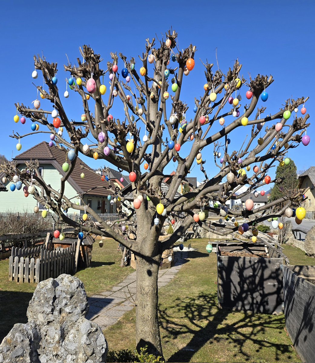 Velikonočno drevo je bogato obrodilo 🥚🪺😍😃
#ostereierbaum #eastertree