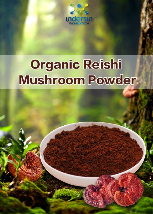 underherb150361's tweet image. Dietary Supplement ingredient &amp;amp; Fruit and vegetable straight powder is with huge stock.
send message now have a Inquiry!

#organic #orgnaicpowder #herbextract #beetrootpowder #MushroomPowder #mushroomextracts #turmericpowder #wheatgrasspowder #freezedriedpowder  #factory #b2b