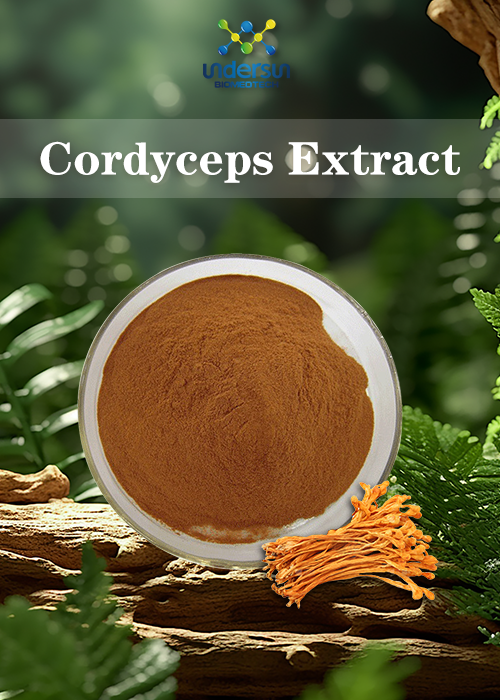 underherb150361's tweet image. Dietary Supplement ingredient &amp;amp; Fruit and vegetable straight powder is with huge stock.
send message now have a Inquiry!

#organic #orgnaicpowder #herbextract #beetrootpowder #MushroomPowder #mushroomextracts #turmericpowder #wheatgrasspowder #freezedriedpowder  #factory #b2b