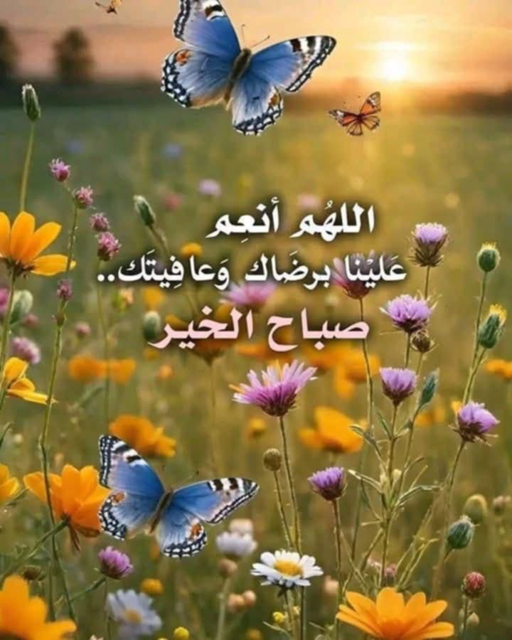 صباح جميل ‌لأطيب القلوب و أروعها 
        لمن يشبهون الصباح بجماله.
     و الــــــــــورد بعطره
    للذين يتركون فرحة تملأ القلب حياة..
          صباحكم جميل كجمال قلوبكم 🤍