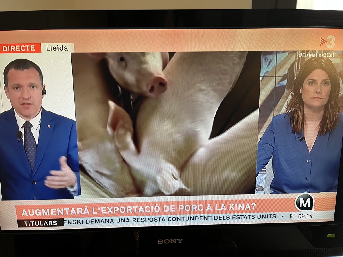 Carmen Abarca tweet media