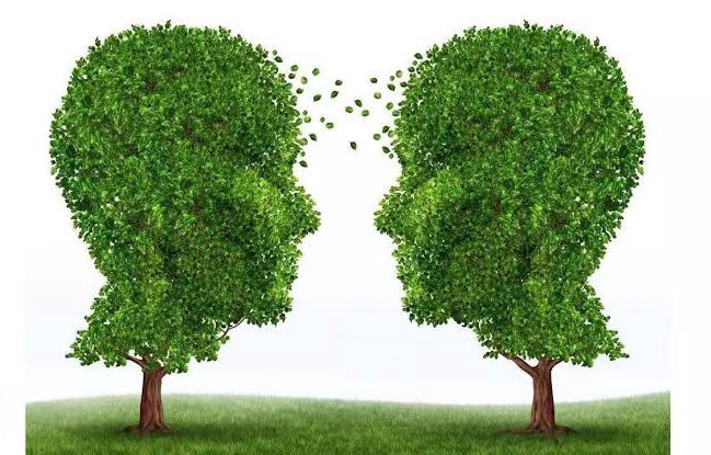 decoding_engg's tweet image. Plants can communicate by releasing chemical signals into the air or soil. For example, when a plant is attacked by pests, it may release volatile organic compounds (VOCs) that nearby plants detect, triggering them to produce defensive compounds to protect themselves.