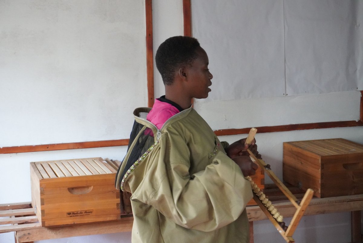 Sustainable beekeeping helps communities earn a living and protect gorilla habitats.

Traditional methods damage forests and spark fires. That’s why we’re training and equipping beekeepers to use safer, gorilla-friendly hives.

Learn more: bit.ly/sustanaiblebee…