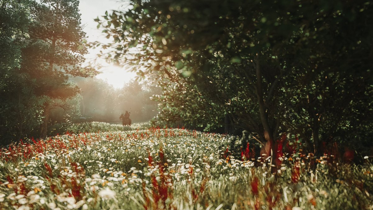 Assassins Creed Shadows 

#AssassinsCreed