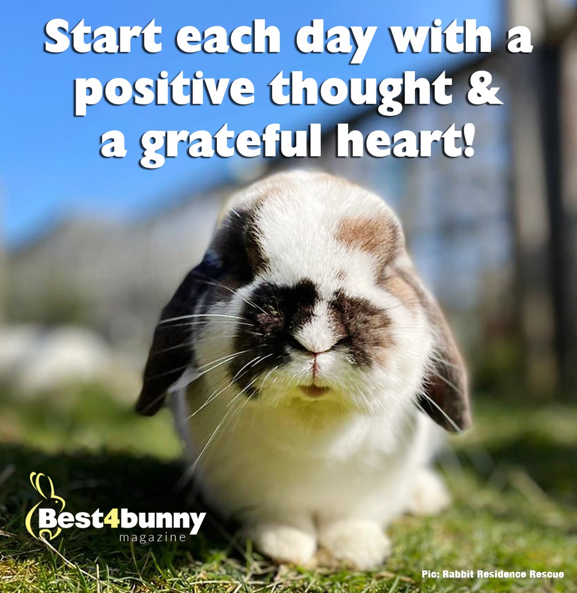 Happy Monday!
#MondayMotivation