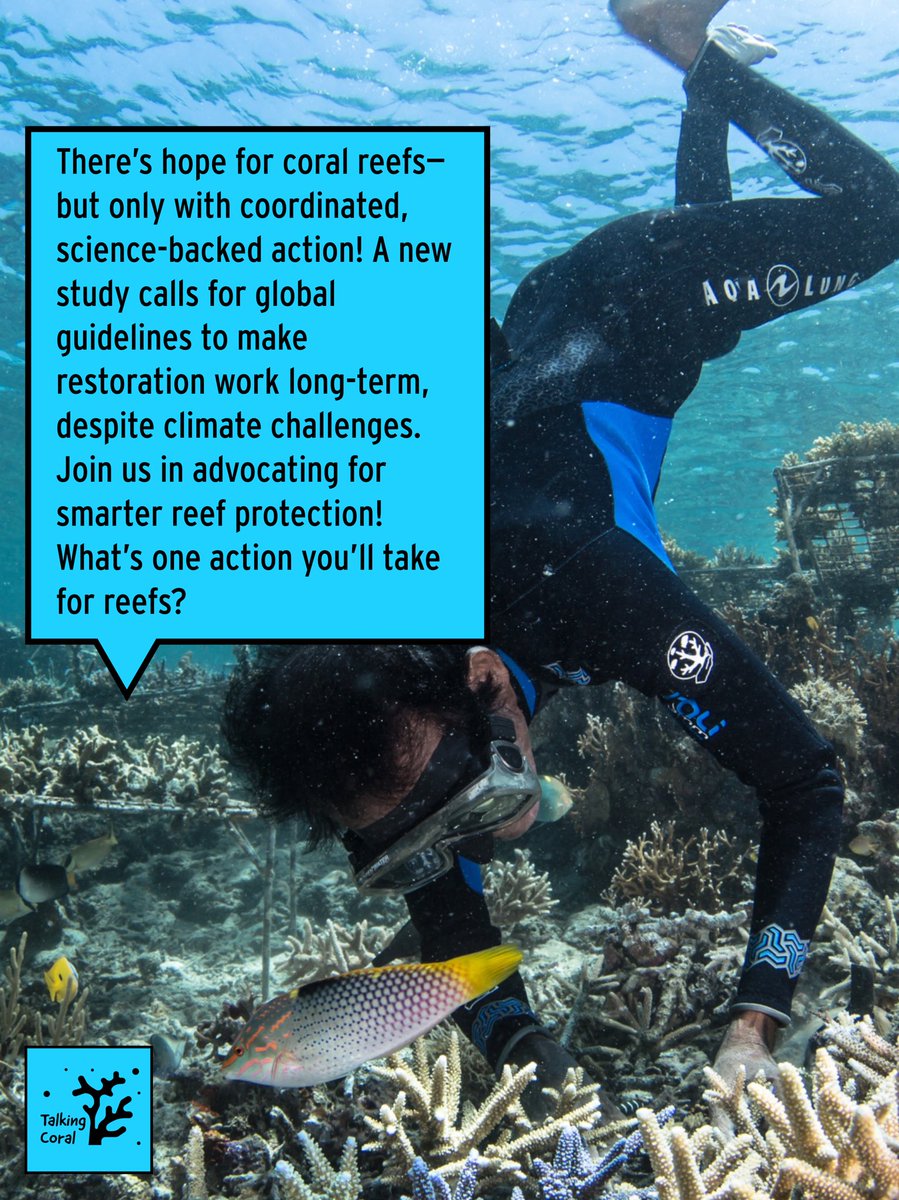 Talkingcoral's tweet photo. Reefs need global, science-backed action to make restoration work despite climate challenges. https://t.co/v7RBs9nAFD