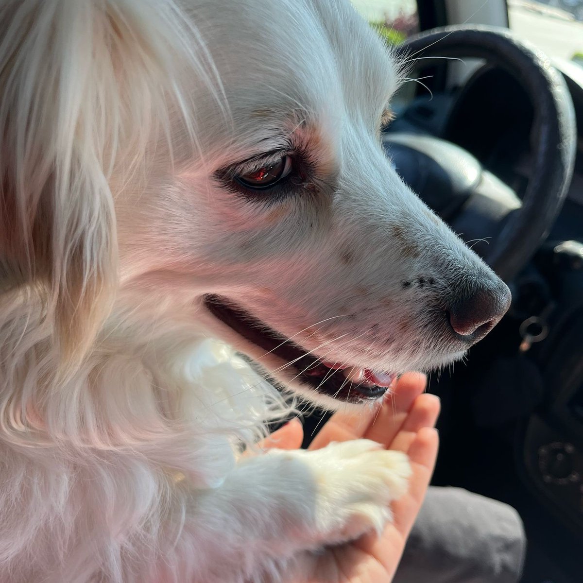 feyzabozatay (@trendypatib) on Twitter photo 