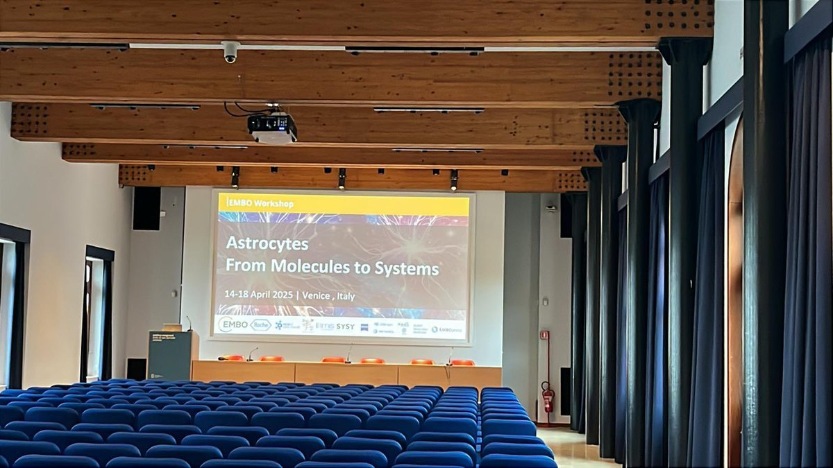 Synapse Biology Group | NCBio ERA Chair @i3S_Porto (@astrocytesrus) on Twitter photo Getting ready for the EMBO Workshop Astrocytes 2025! 😍
<a href="/LauCiviero/">Laura Civiero</a> <a href="/m_depitta/">Maurizio De Pittà (@mdepitta.bsky.social)</a> #astrocytes #EMBOastrocytes #AstrocytesRus Getting ready for the EMBO Workshop Astrocytes 2025! 😍
<a href="/LauCiviero/">Laura Civiero</a> <a href="/m_depitta/">Maurizio De Pittà (@mdepitta.bsky.social)</a> #astrocytes #EMBOastrocytes #AstrocytesRus