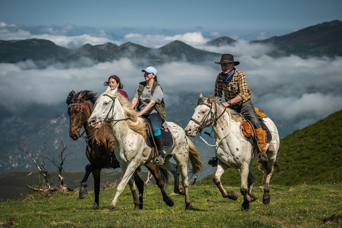 Asturias  tiene casi todo lo que puedas desear: montañas, osos, ríos y mar. Y todo bastante cerca. <a href="/OlasOsos/">Osos&Olas</a> nos lleva a descubrir esta hermosa región, desde sus cumbres más altas hasta el mar azul.  A pie, a caballo, remando y surfeando. ¡Vamos!💯 

magazine.wideoyster.com/es/aventura-en…