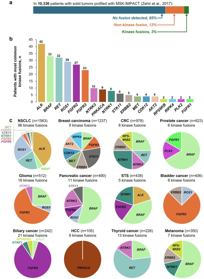 Yakup Ergün tweet media
