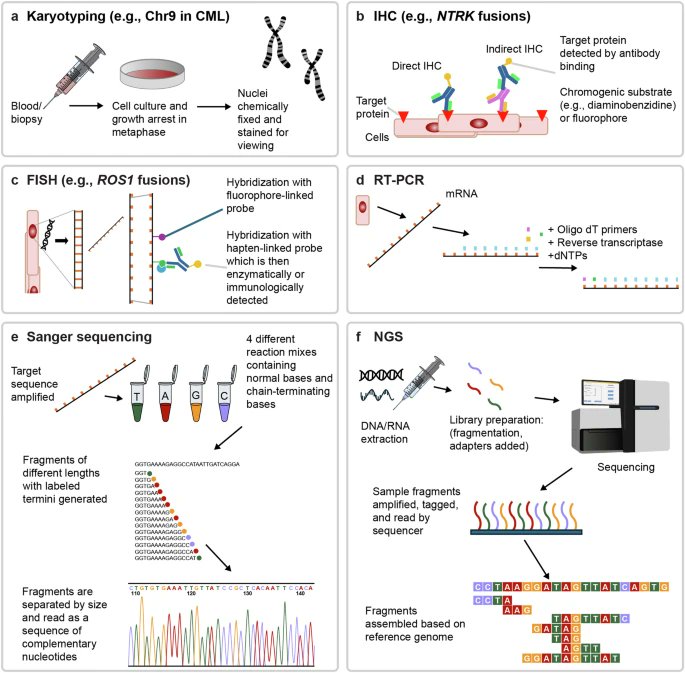 Yakup Ergün (@dr_yakupergun) on Twitter photo Oncogenic gene fusions in cancer: from biology to therapy
Excellent review by <a href="/StephenVLiu/">Stephen V Liu, MD</a> et al.👇
nature.com/articles/s4139… Oncogenic gene fusions in cancer: from biology to therapy
Excellent review by <a href="/StephenVLiu/">Stephen V Liu, MD</a> et al.👇
nature.com/articles/s4139…