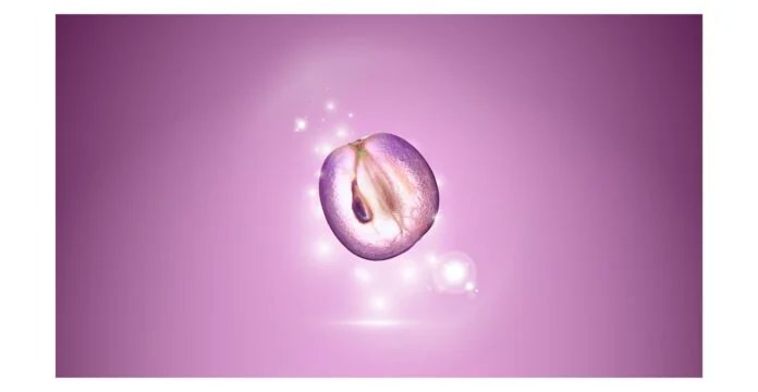 SDTech_Groupe's tweet image. Vytrus Biotech dévoile un actif imitant le jeûne cellulaire
tinyurl.com/4dtwz637 #innovation #biotechnologie #ingrédient #naturel #actif #soin #peau #industrie #biotechnology #ingredient #natural #active #skincare #industry