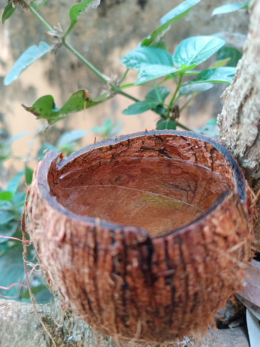 ପଣାସଂକ୍ରାନ୍ତି ଏକ ପର୍ବ ହିସାବରେ ପରିବେଶ ସହ ଆମ ସମ୍ପର୍କକୁ ମଜବୁତ କରେ । ଏହା ଆମକୁ ଶିଖାଏ ଯେ ପ୍ରାକୃତିକ ଉପାଦାନକୁ ସମ୍ମାନ କରିବା ଓ ସମସ୍ତ ଜୀବ ପ୍ରତି କାରୁଣ୍ୟ ଓ ମମତା ଦେଖାଇବା ଦ୍ୱାରା ଜୀବନ ସନ୍ତୁଳିତ ଓ ଶାନ୍ତିମୟ ହୁଏ ।

#theyrealltneedus  #waterforbirds #birdman #ଓଡ଼ିଆନବବର୍ଷ #ହନୁମାନଜୟନ୍ତୀ #ପଣାସଂକ୍ରାନ୍ତି