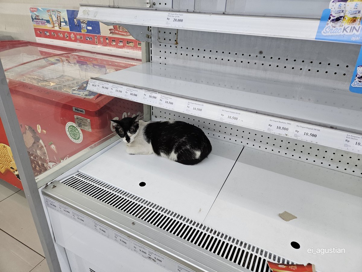 ei_agustian's tweet photo. jangan tanya panas nya seberapa. dia aja butuh yg lebih adem walau sudah didalem :v
randomly taken di family mart puloasem rawamangun.
#everybodyneedtochill https://t.co/i7H9XUSmee