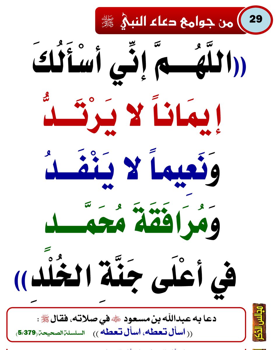 الحاجة أم اسامة tweet media
