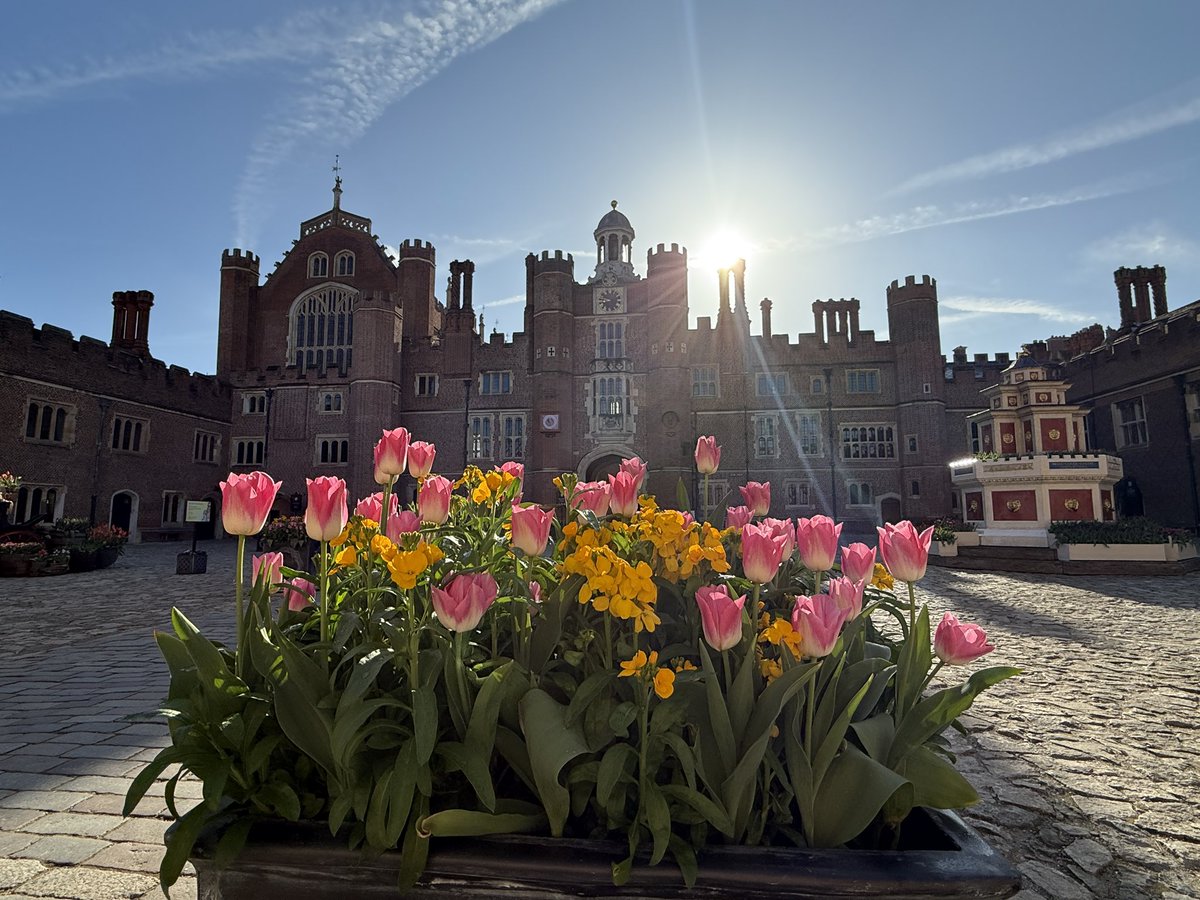 Tom O'Leary (@tomoleary72) on Twitter photo Happy Monday! Some morning Tulip Festival action at <a href="/HRP_palaces/">Historic Royal Palaces</a> Hampton Court Palace Happy Monday! Some morning Tulip Festival action at <a href="/HRP_palaces/">Historic Royal Palaces</a> Hampton Court Palace
