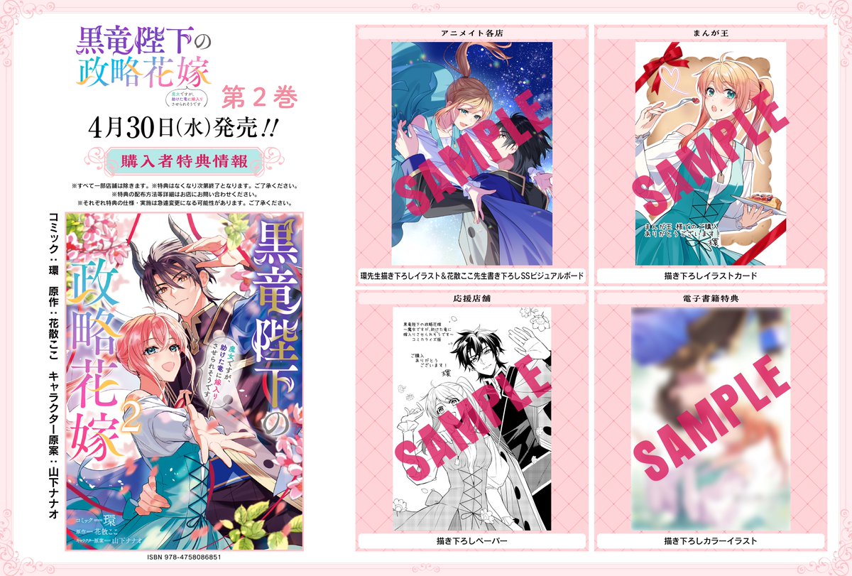 黒竜陛下の政略花嫁 （黒竜陛下の政略花嫁 魔女ですが、助けた竜