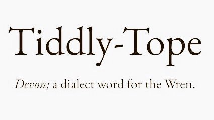 Cian McCarthy tweet media