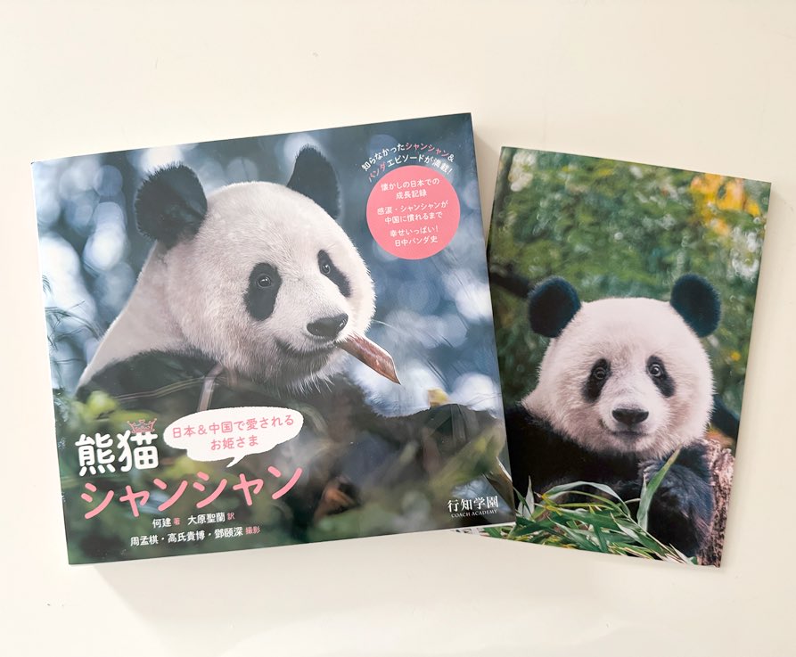遅ればせながら「シャンシャンまちがい探し2」と「熊猫シャンシャン」げっちゅーなり🐼