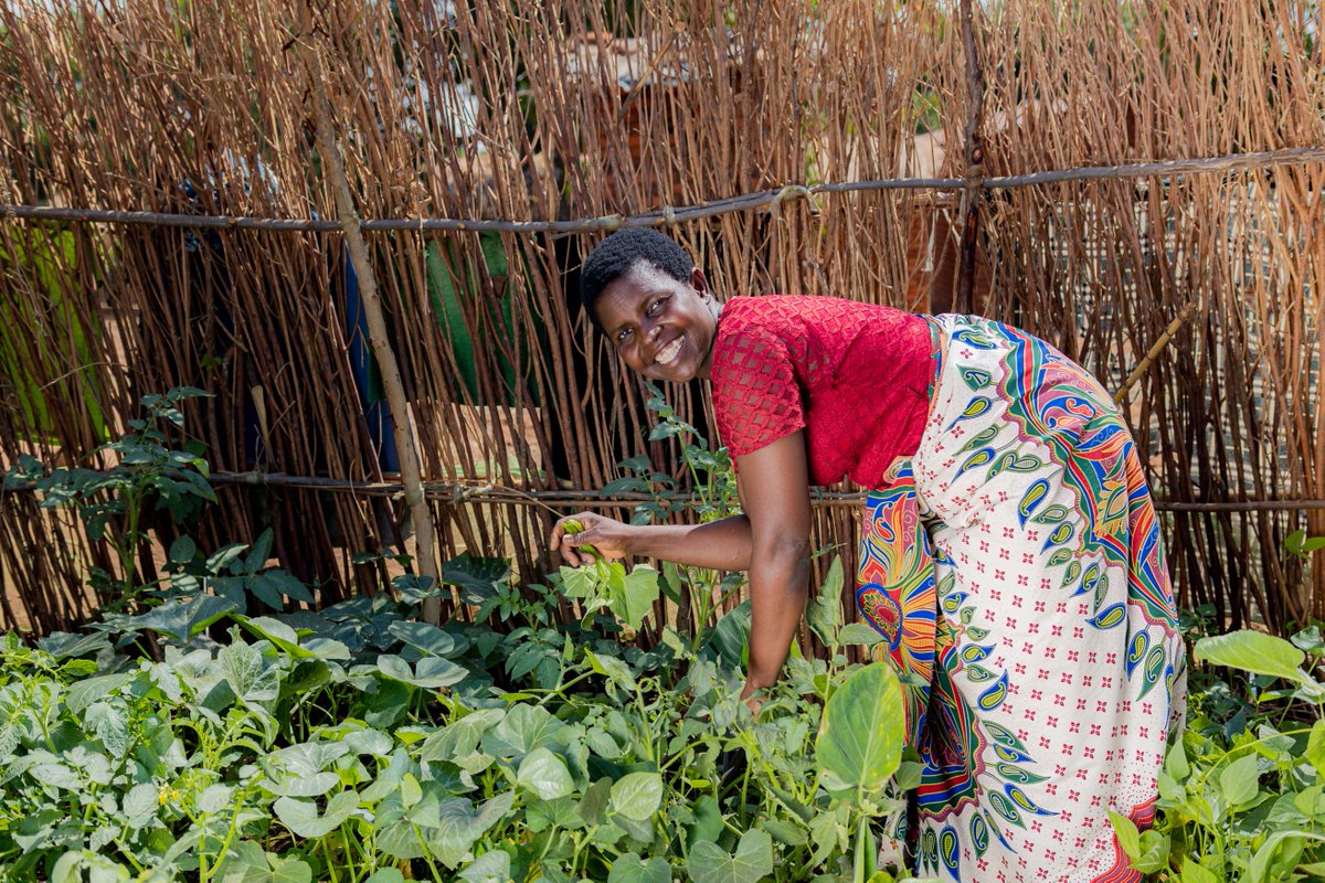 𝐅𝐚𝐫𝐦𝐞𝐫 𝐒𝐩𝐨𝐭𝐥𝐢𝐠𝐡𝐭 𝐌𝐨𝐧𝐝𝐚𝐲 

Today, our spotlight shines on Mayi Grace Kadzuwa, the Chairperson of the Phalombe Association. 
#FarmerSpotlightMonday #WomenLedHouseholds #NASFAM2025 #TheFutureBelongs2TheOrganised