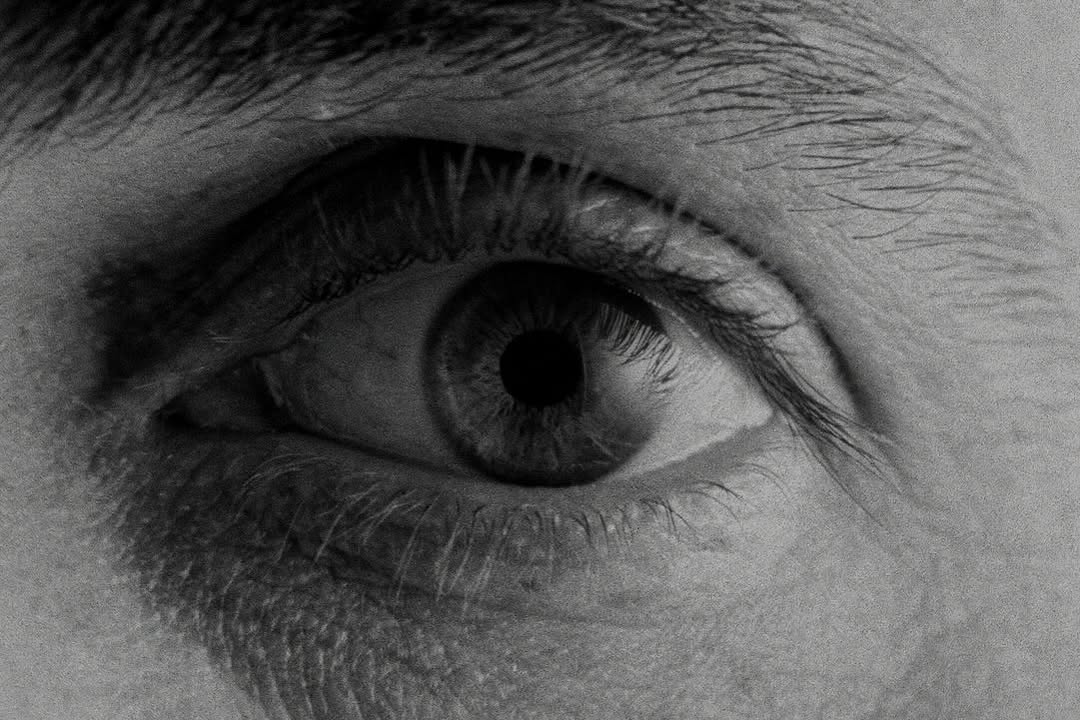 “Insomnia” novo single de @richiecampbell 🐑🐑
Já está disponível em todo o lado!!