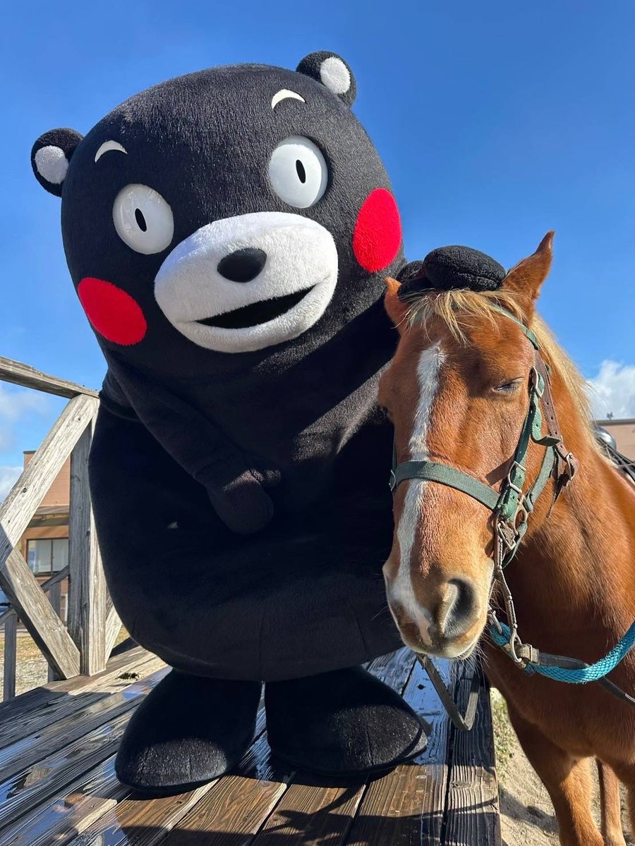 55_kumamon's tweet photo. おはくま〜！よ〜し、行くかモン☆ https://t.co/PB4fYdAEgh