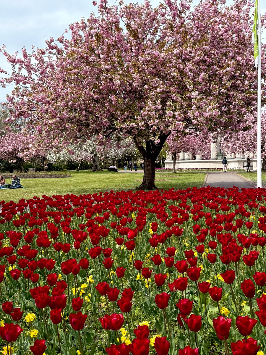 #spring
