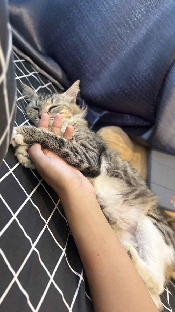 dongmin_e's tweet photo. @offclASTRO Gummy🥰🥰☺️ https://t.co/f7r0o42hyy